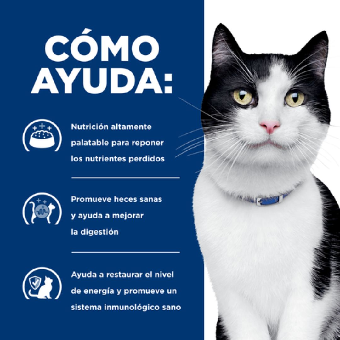 Hills I/D 1,5 kg Gato - Imagen 4